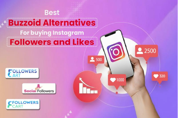 What Are The Best Alternatives to Buzzoid for Buying Instagram Followers and Likes?